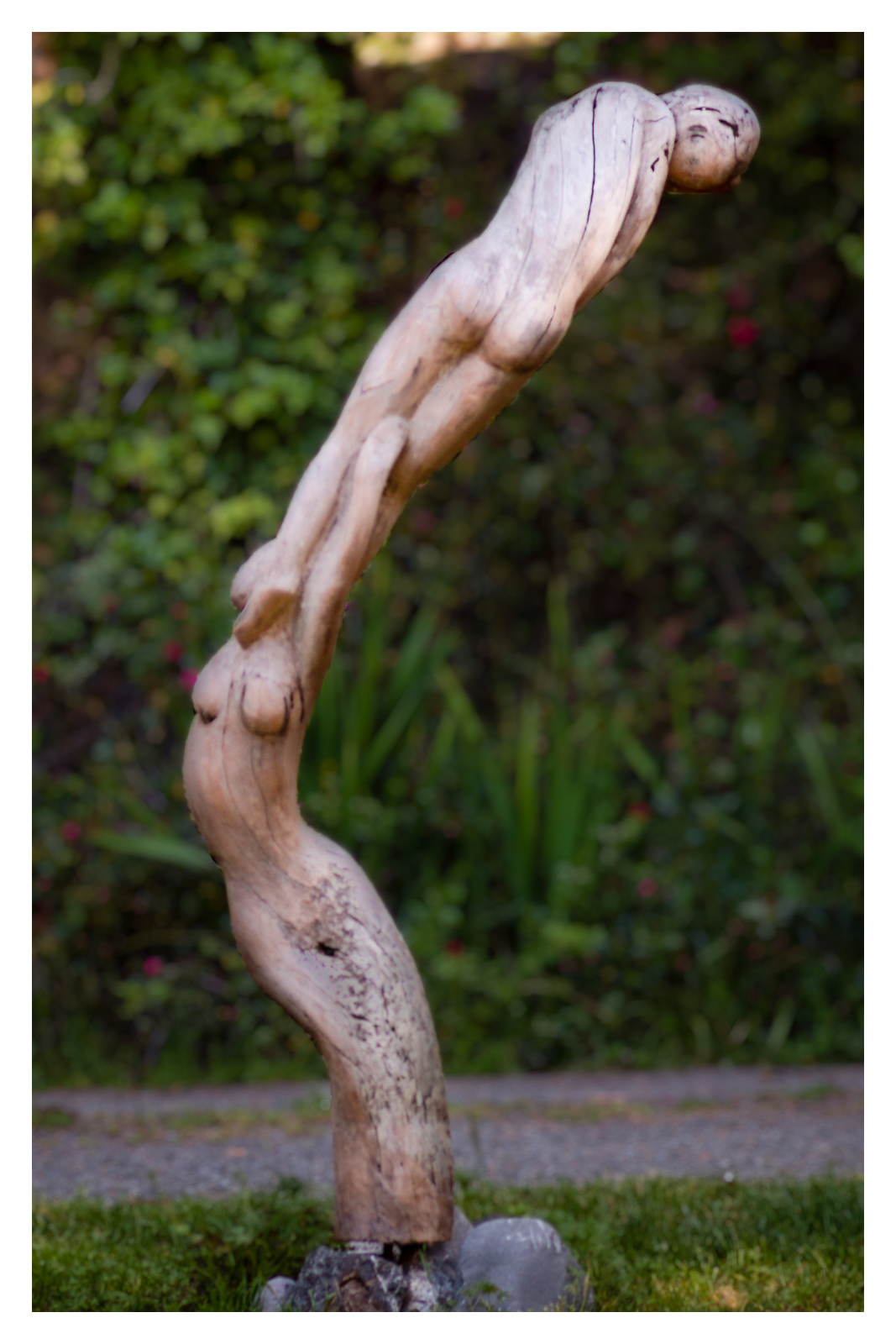 LIFT<br><small>90 inch | medium- redwood root</small>